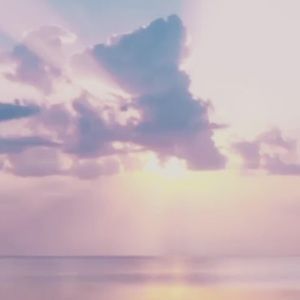 Meet your Posher, Ariana